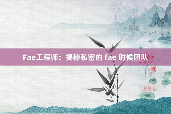 Fae工程师：揭秘私密的 fae 时候团队