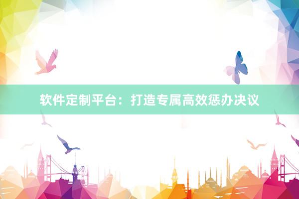 软件定制平台：打造专属高效惩办决议