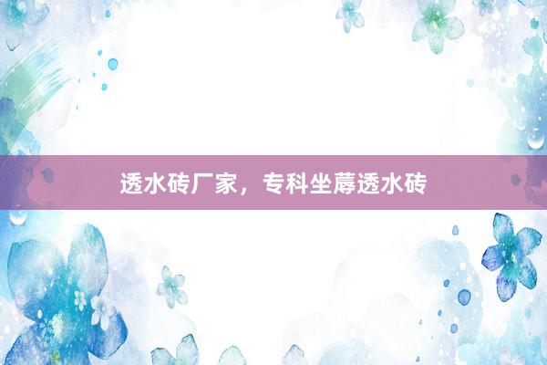 透水砖厂家，专科坐蓐透水砖